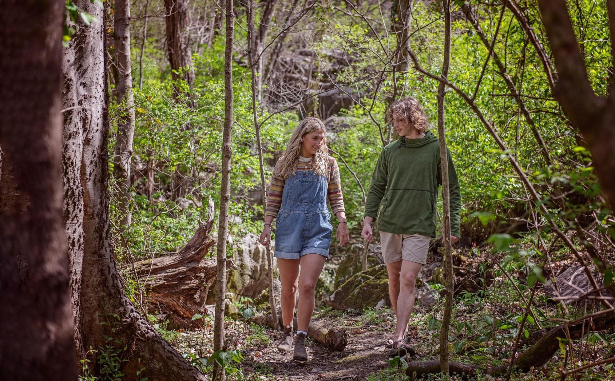 Meg Cabin Tiny Rustic Comfort On Lookout Mtn Чаттануґа Екстер'єр фото